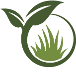 Lawn Seeding
