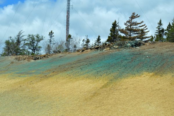Hill Hydroseeding Service