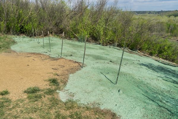 Seed Spraying Service