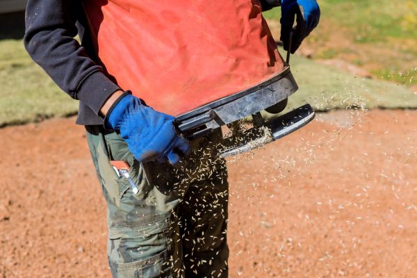 Business Lawn Reseeding