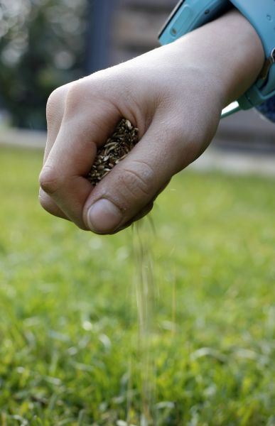Spring Grass Overseeding