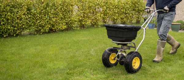 Fall Reseeding Service
