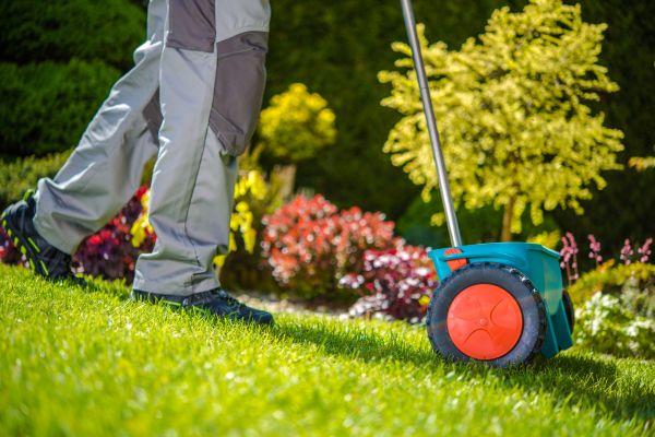 Seasonal Lawn Renovation