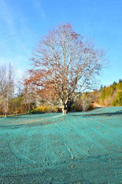 Liquid Grass Seeding Service