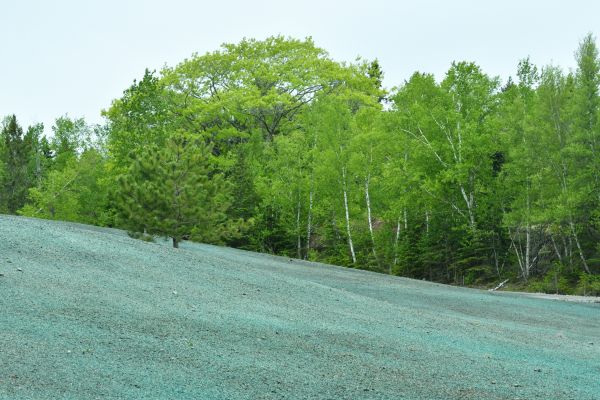 Hydraulic Mulching Service