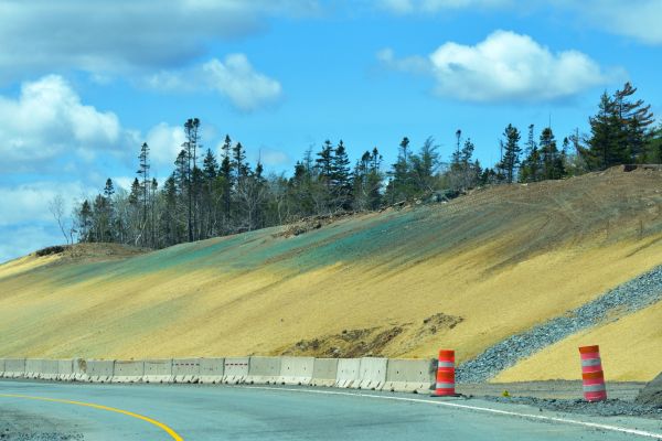 Corporate Hydroseeding