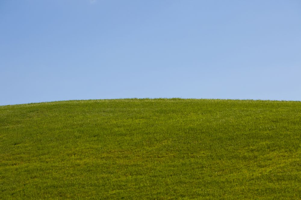 Hillside Revegetation