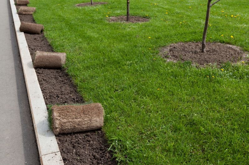 Sod Installation in Ventura County, CA